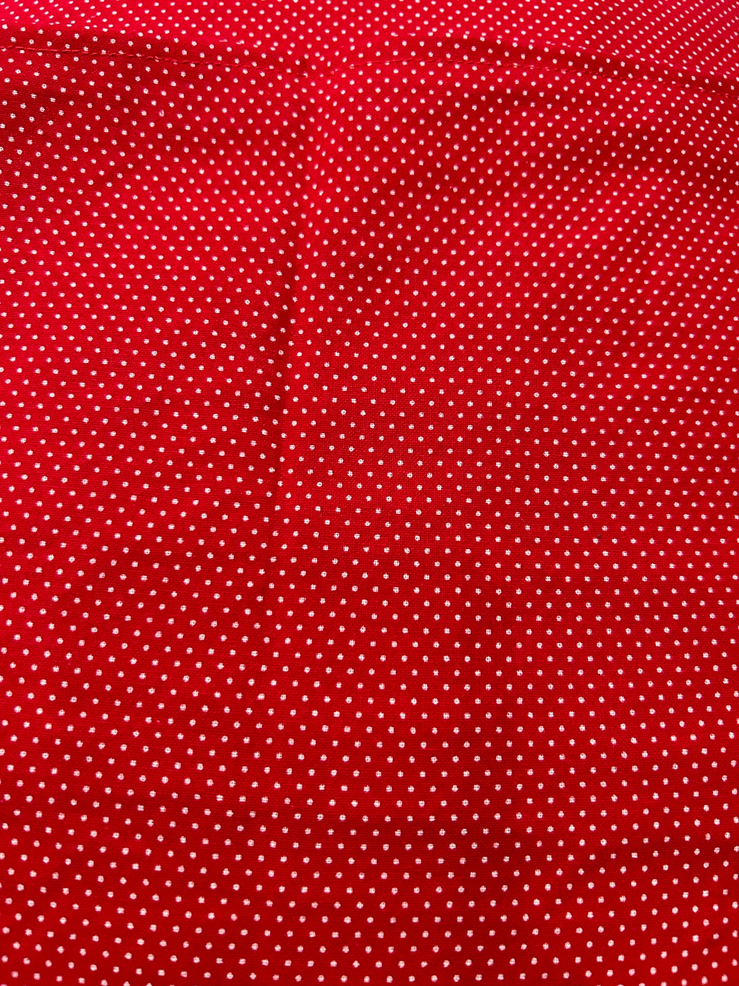 Red Strawberries  Decor Pillow Cover